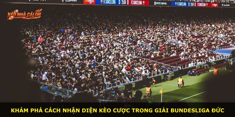 Khám phá cách nhận diện kèo cược trong giải Bundesliga Đức