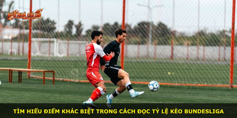 Tìm hiểu điểm khác biệt trong cách đọc tỷ lệ kèo Bundesliga