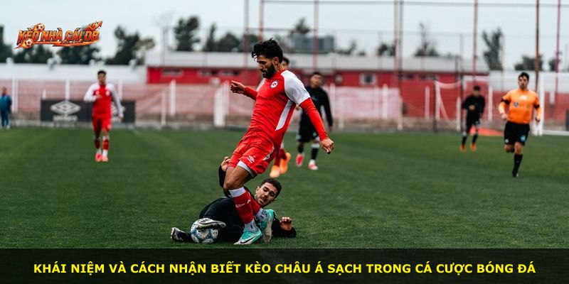 Khái niệm và cách nhận biết kèo châu Á sạch trong cá cược bóng đá