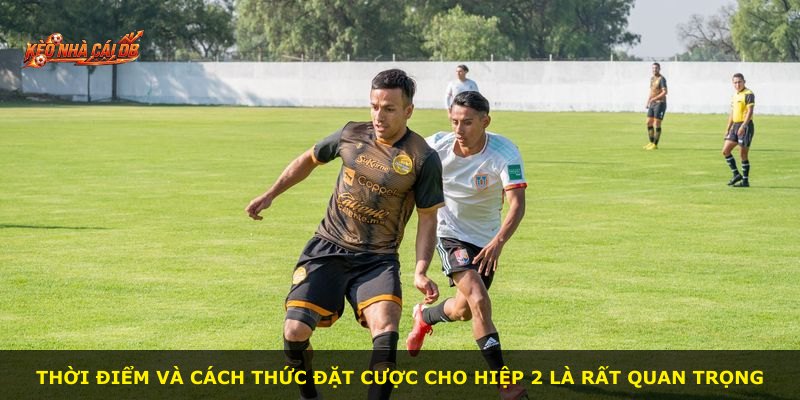 Thời điểm và cách thức đặt cược cho hiệp 2 là rất quan trọng