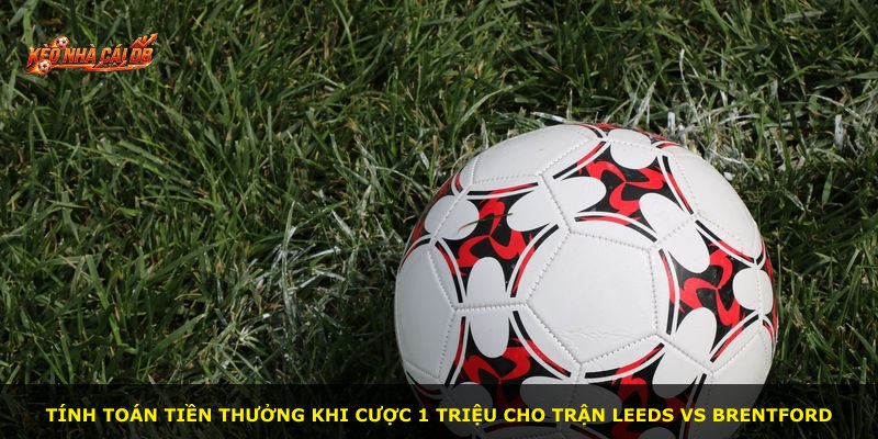 Tính toán tiền thưởng khi cược 1 triệu cho trận Leeds vs Brentford