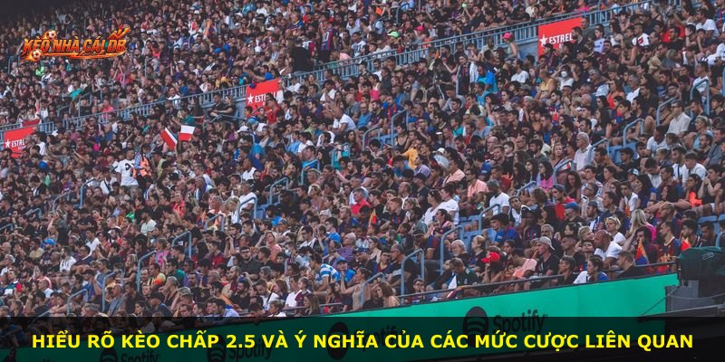 Hiểu rõ kèo chấp 2.5 và ý nghĩa của các mức cược liên quan
