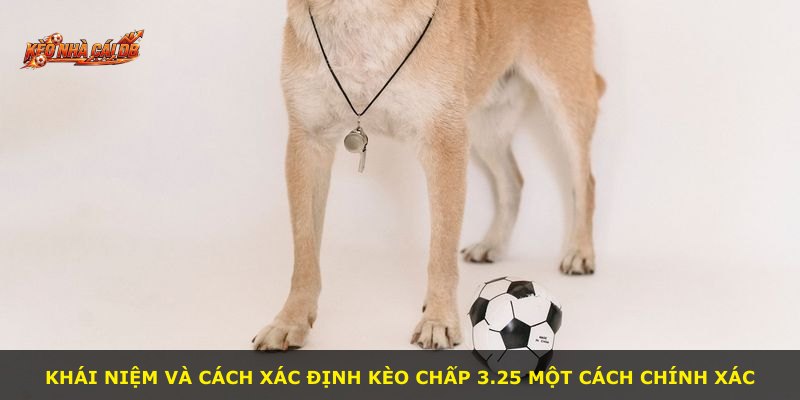 Khái niệm và cách xác định kèo chấp 3.25 một cách chính xác