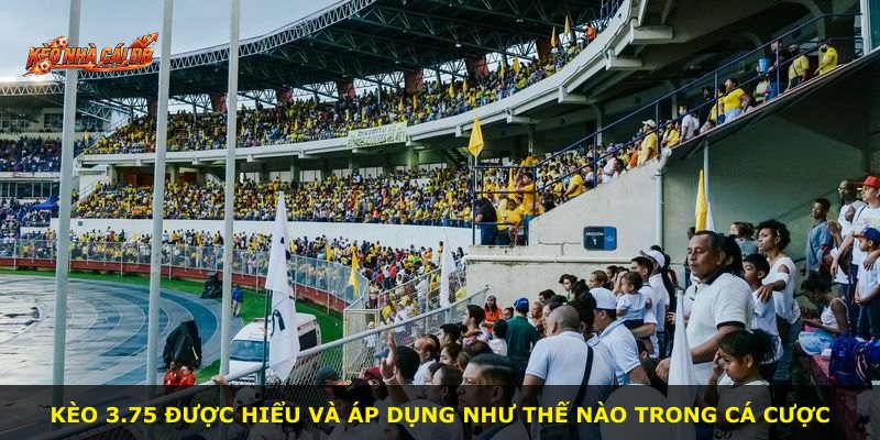 Kèo 3.75 được hiểu và áp dụng như thế nào trong cá cược