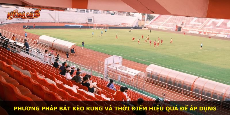 Phương pháp bắt kèo rung và thời điểm hiệu quả để áp dụng