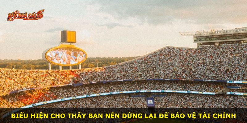 Biểu hiện cho thấy bạn nên dừng lại để bảo vệ tài chính