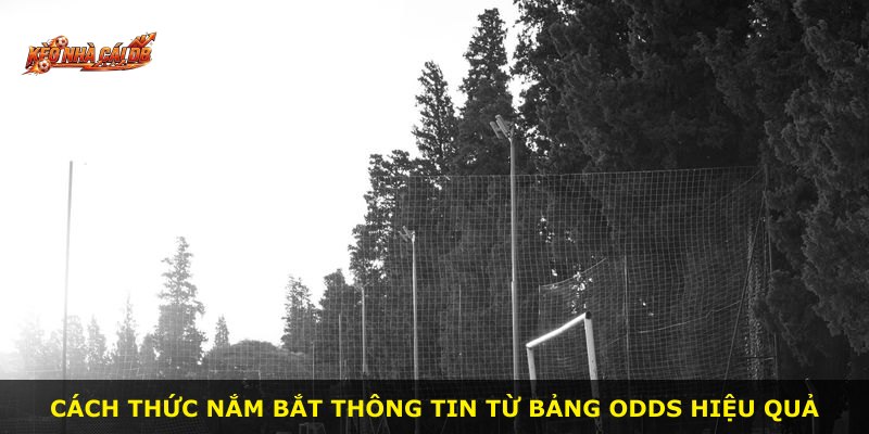 Cách thức nắm bắt thông tin từ bảng odds hiệu quả