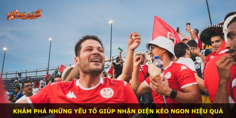 Khám phá những yếu tố giúp nhận diện kèo ngon hiệu quả