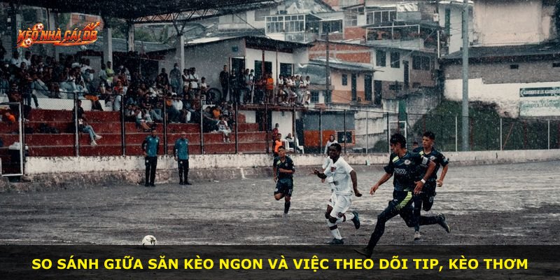 So sánh giữa săn kèo ngon và việc theo dõi tip, kèo thơm