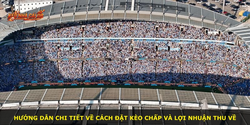 Hướng dẫn chi tiết về cách đặt kèo chấp và lợi nhuận thu về