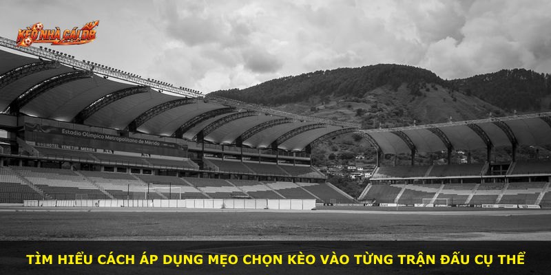 Tìm hiểu cách áp dụng mẹo chọn kèo vào từng trận đấu cụ thể