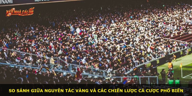 So sánh giữa nguyên tắc vàng và các chiến lược cá cược phổ biến