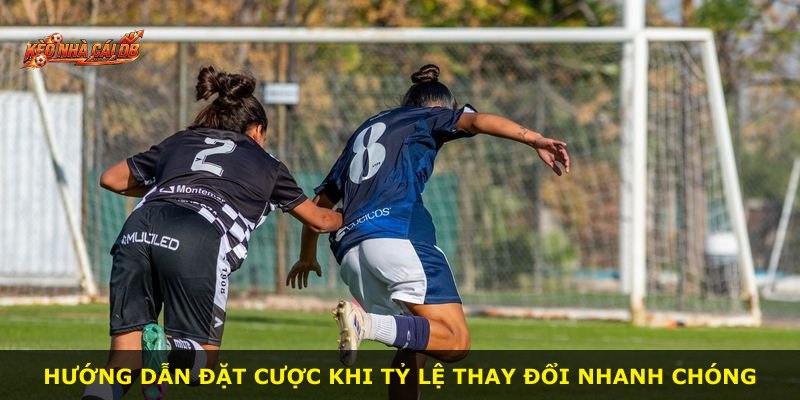 Hướng dẫn đặt cược khi tỷ lệ thay đổi nhanh chóng