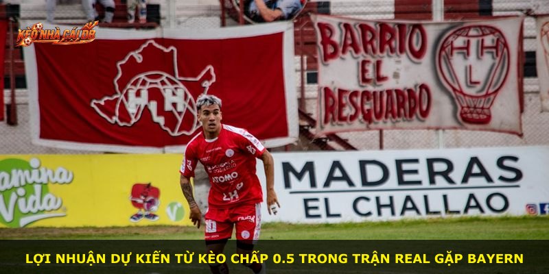 Lợi nhuận dự kiến từ kèo chấp 0.5 trong trận Real gặp Bayern
