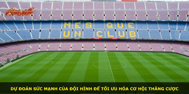 Dự đoán sức mạnh của đội hình để tối ưu hóa cơ hội thắng cược
