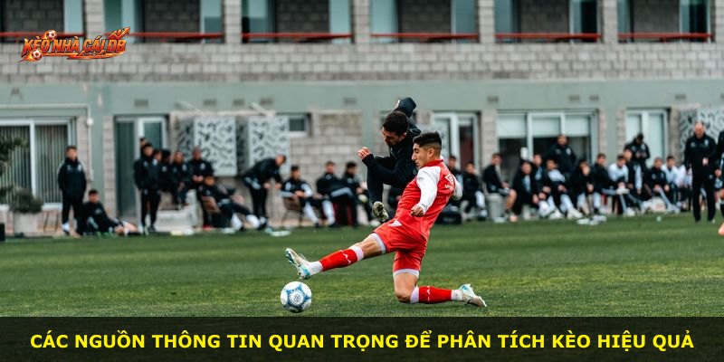 Các nguồn thông tin quan trọng để phân tích kèo hiệu quả