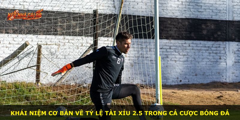 Khái niệm cơ bản về tỷ lệ Tài Xỉu 2.5 trong cá cược bóng đá