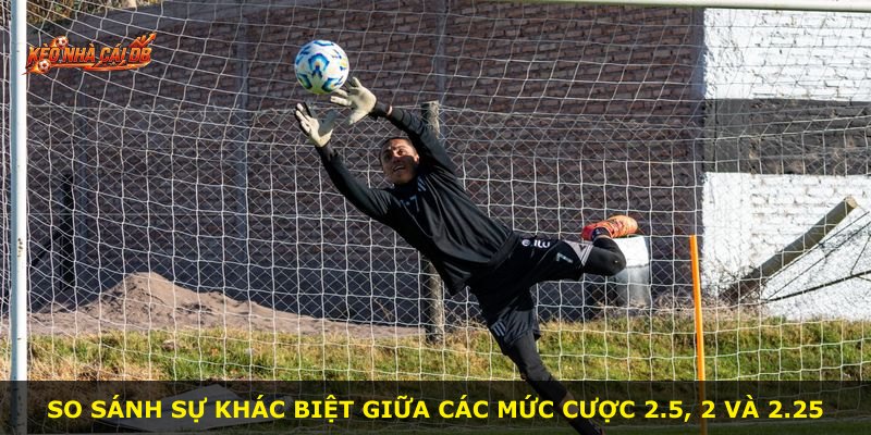 So sánh sự khác biệt giữa các mức cược 2.5, 2 và 2.25