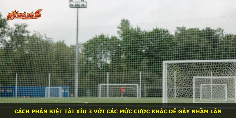 Cách phân biệt Tài Xỉu 3 với các mức cược khác dễ gây nhầm lẫn