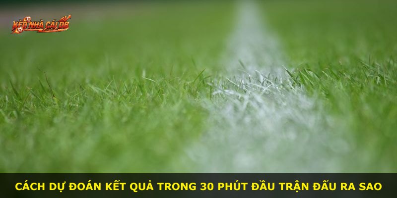 Cách dự đoán kết quả trong 30 phút đầu trận đấu ra sao