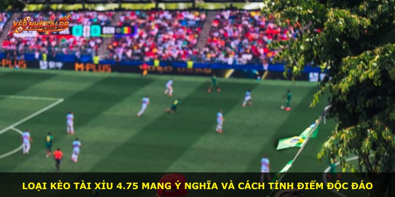Loại kèo Tài Xỉu 4.75 mang ý nghĩa và cách tính điểm độc đáo