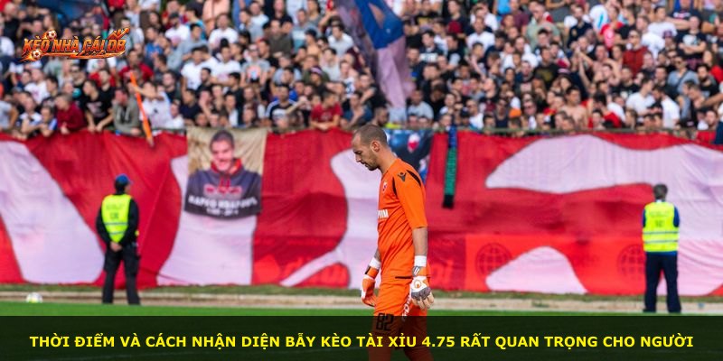 Thời điểm và cách nhận diện bẫy kèo Tài Xỉu 4.75 rất quan trọng cho người