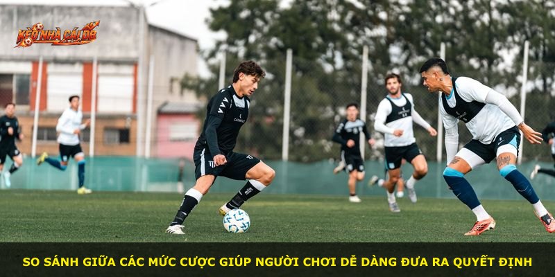 So sánh giữa các mức cược giúp người chơi dễ dàng đưa ra quyết định