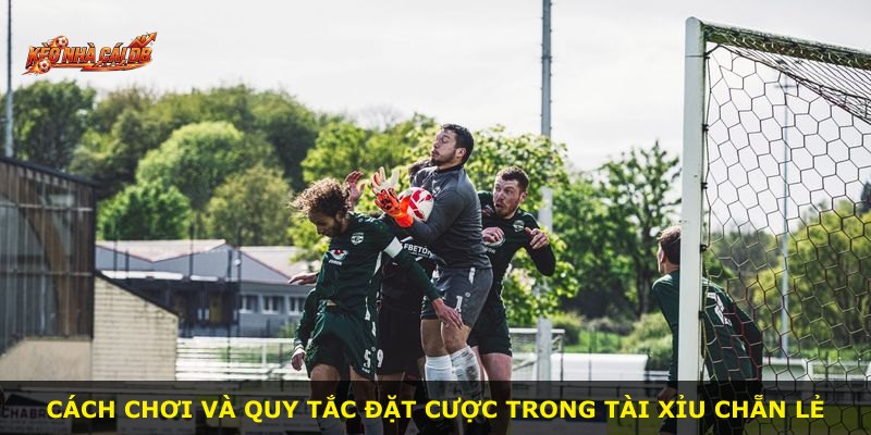 Cách chơi và quy tắc đặt cược trong Tài Xỉu Chẵn Lẻ