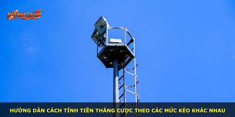 Hướng dẫn cách tính tiền thắng cược theo các mức kèo khác nhau