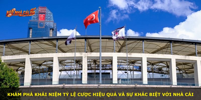 Khám phá khái niệm tỷ lệ cược hiệu quả và sự khác biệt với nhà cái