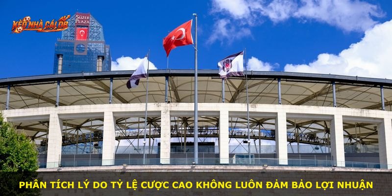 Phân tích lý do tỷ lệ cược cao không luôn đảm bảo lợi nhuận