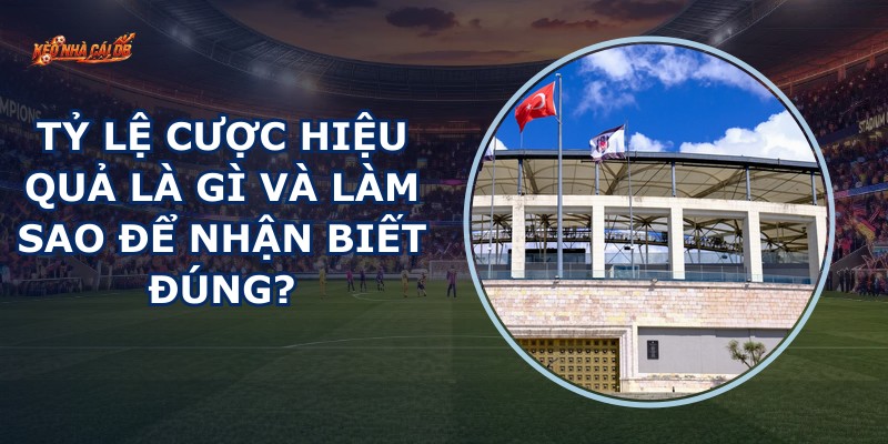 Tỷ Lệ Cược Hiệu Quả