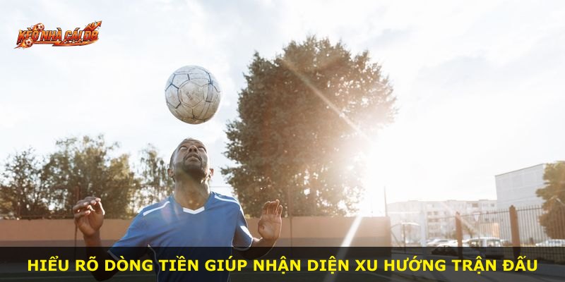 Hiểu rõ dòng tiền giúp nhận diện xu hướng trận đấu