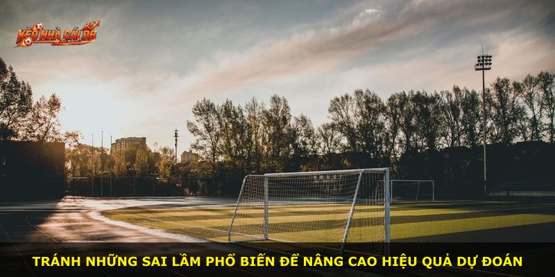 Tránh những sai lầm phổ biến để nâng cao hiệu quả dự đoán